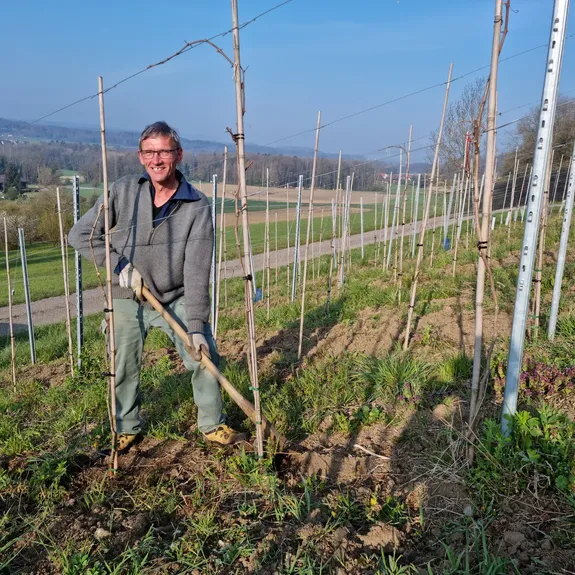 Felix Gredig, Bio-Landwirt, bei der Arbeit im Rebberg
