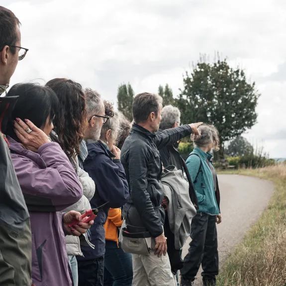 F&uuml;hrungen und Degustationen im Weingut