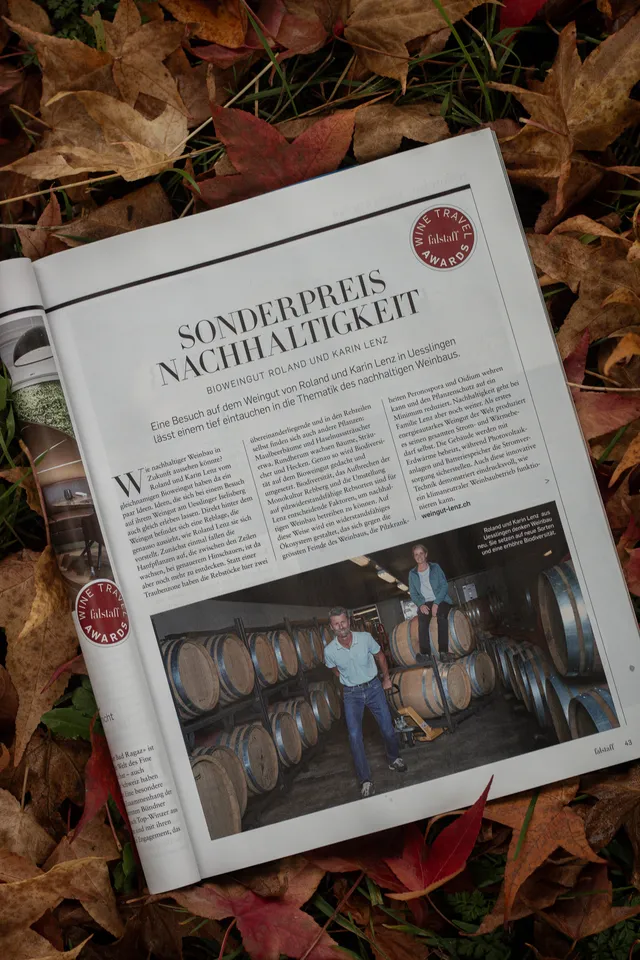 Vinum-Ausgabe auf Herbstlaub, aufgeschlagen beim Artikel zum Sonderpreis Nachhaltigkeit