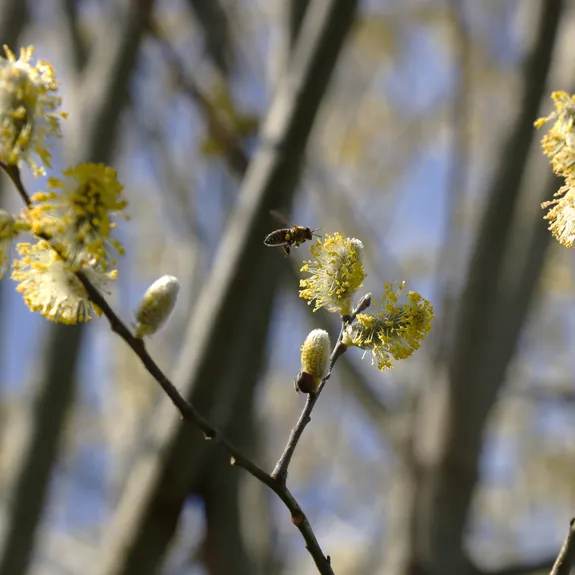 Vergangene Anl&auml;sse im Bioweingut Lenz