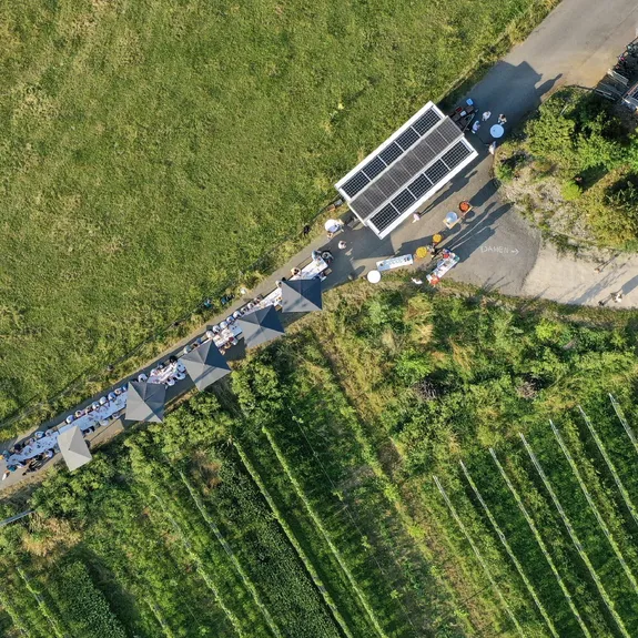 Das Bioweingut Lenz erleben