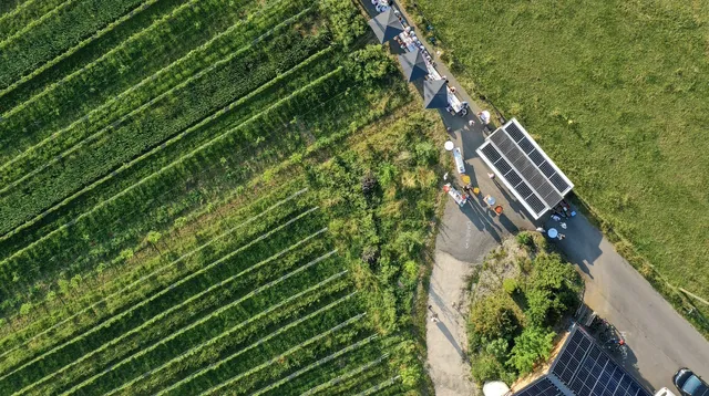 Biodiversität verbunden mit Weinreben, Ackerfrüchten, Frucht- und Nussbäumen schafft vielfältige Lebensräume