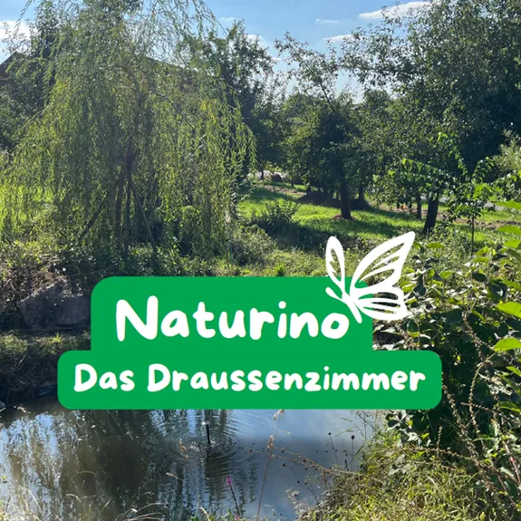  Naturino 