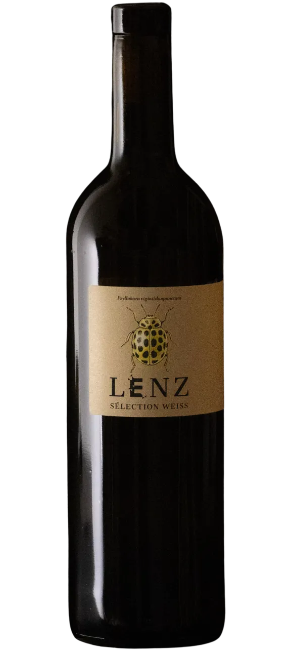 Sélection weiss, VdP 2025